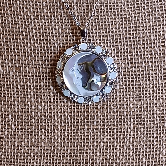 Elegant Sterling Silver Abalone & Mother of Pearl 18"  Necklace - Picture 2 of 6